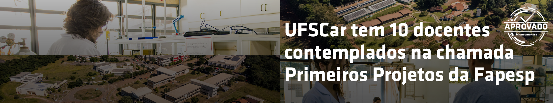 Fapesp Primeiros Projetos