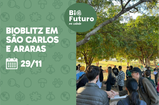 BioBlitz são atividades que promovem a conexão das pessoas com as áreas verdades de suas cidades (Arte: Heli Canavezi)