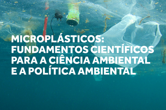 A proposta da formação é abordar os microplásticos a partir de diferentes aspectos relacionados à ciência e à política ambiental. (Imagem: Thalef Santos)
