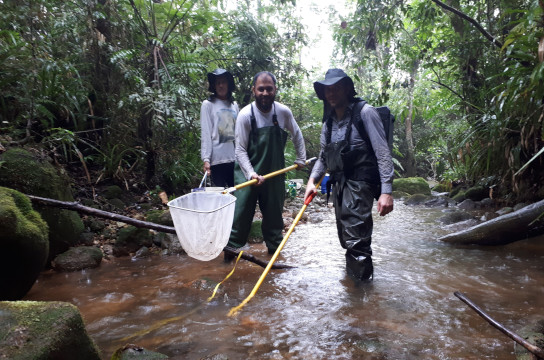 Pesquisadores durante coleta em Cananéia (Acervo pessoal)