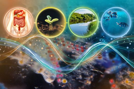 Microbiomas estudados compõem gradiente de riqueza de nutrientes (Ilustração sobre foto de Fund. Tara Ocean)