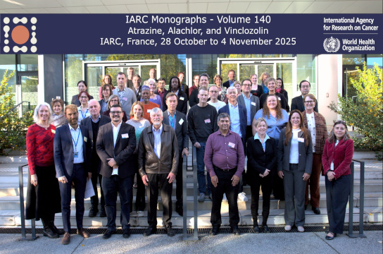 Grupo de cientistas que se reuniu em Lyon em novembro, na sede da Agência Internacional de Pesquisas sobre Câncer (IARC), para reclassificar o herbicida atrazina como provavelmente cancerígeno (Foto: IARC/WHO)