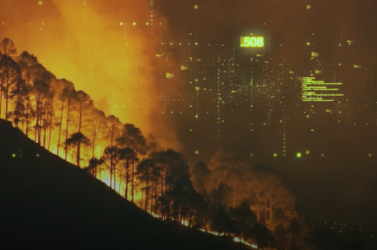 Reportagem em vídeo destaca caráter interdisciplinar da pesquisa (Imagem: Pexels)