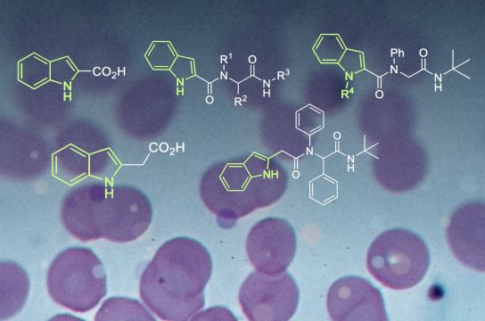 A partir de base comum, cientistas testam diferentes moléculas no combate ao parasita (Ilustração sobre foto de Graham Beards em Wikimedia Commons)