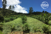 Projetos da UFSCar buscam fortalecer agroecologia no estado de São Paulo