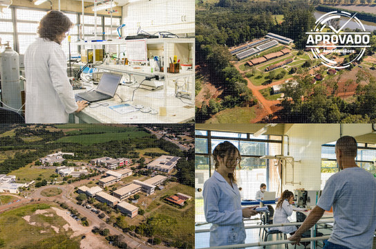 Edital apoia pesquisadores e pesquisadoras em início de carreira (Foto: Walter Milanetto)